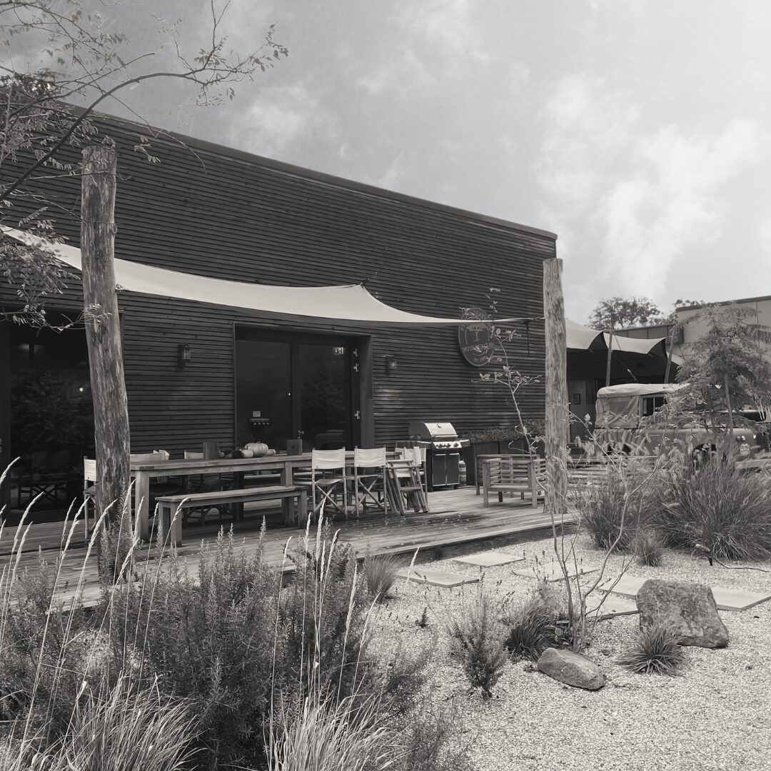 FYNCH-HATTON: Kosten senken mit Amagno