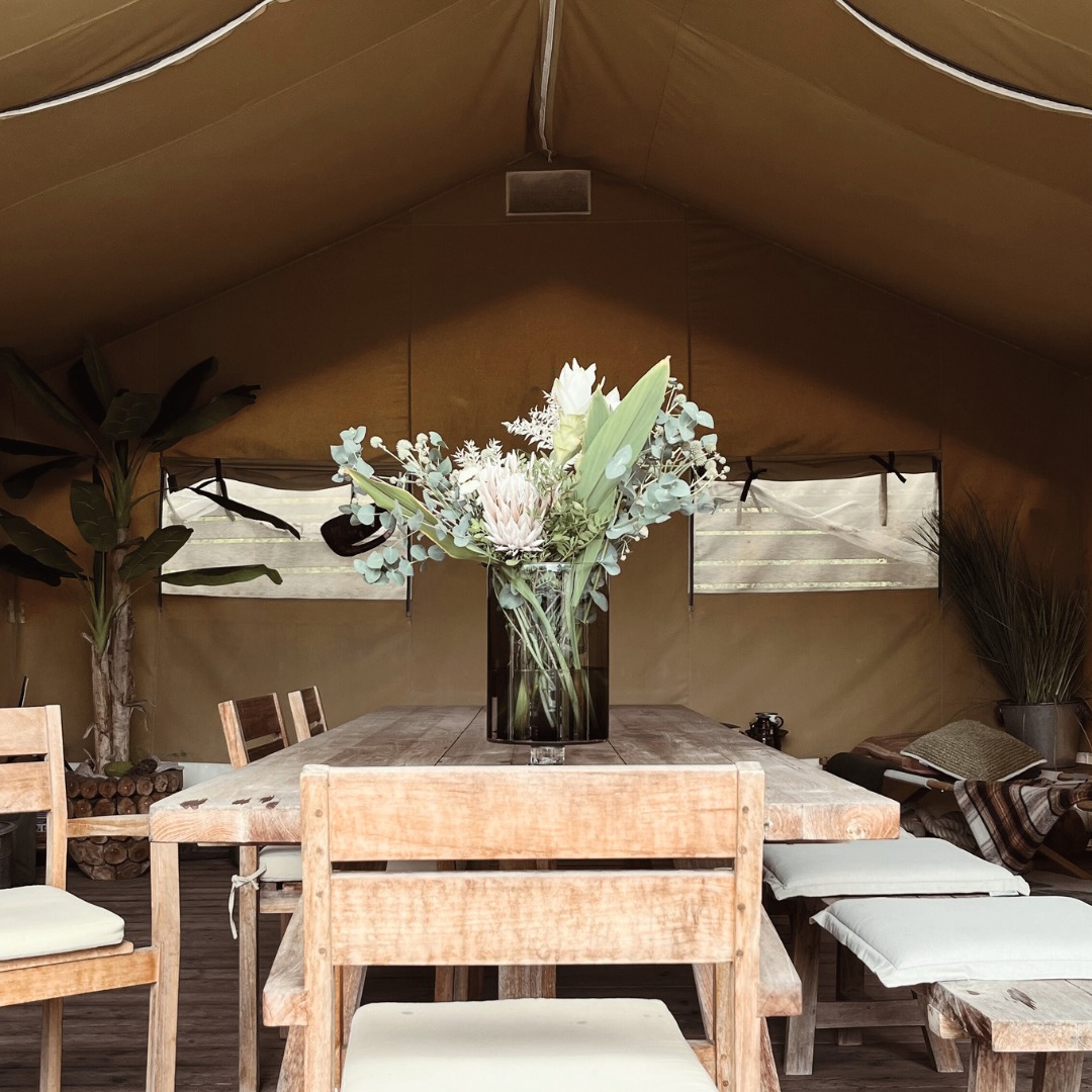 FYNCH-HATTON: Kosten senken mit Amagno